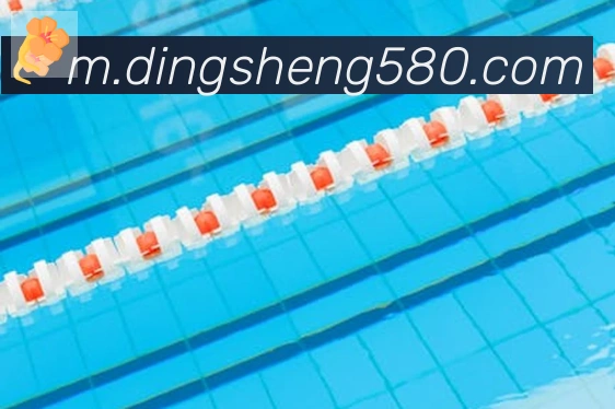 华体网页版登录入口荣誉